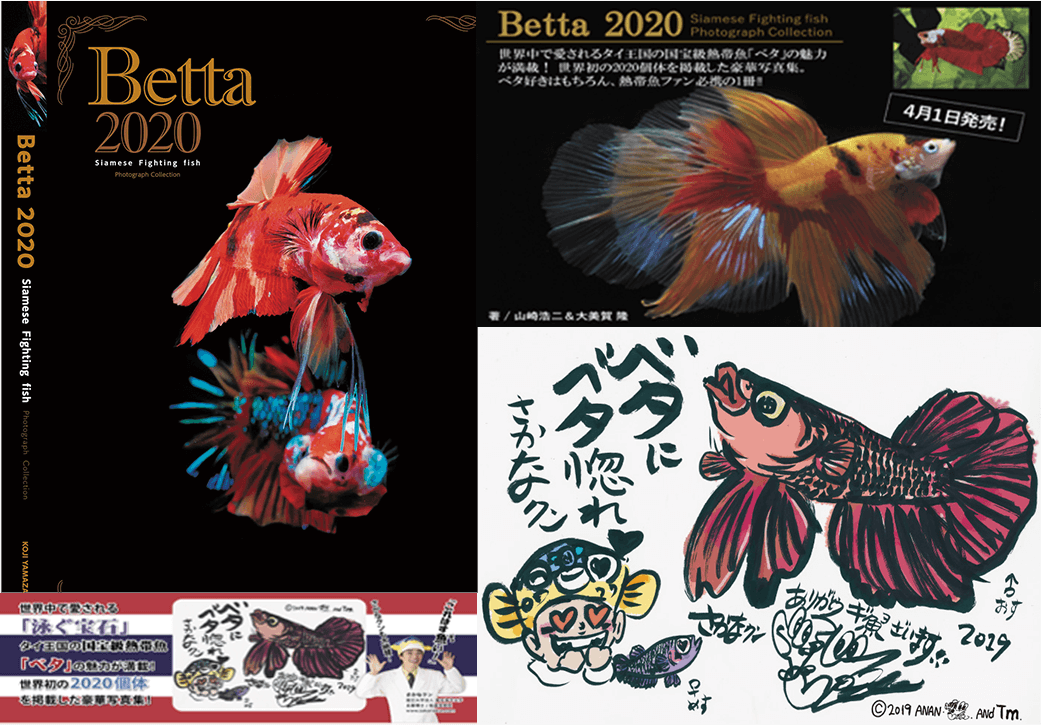 bettabook