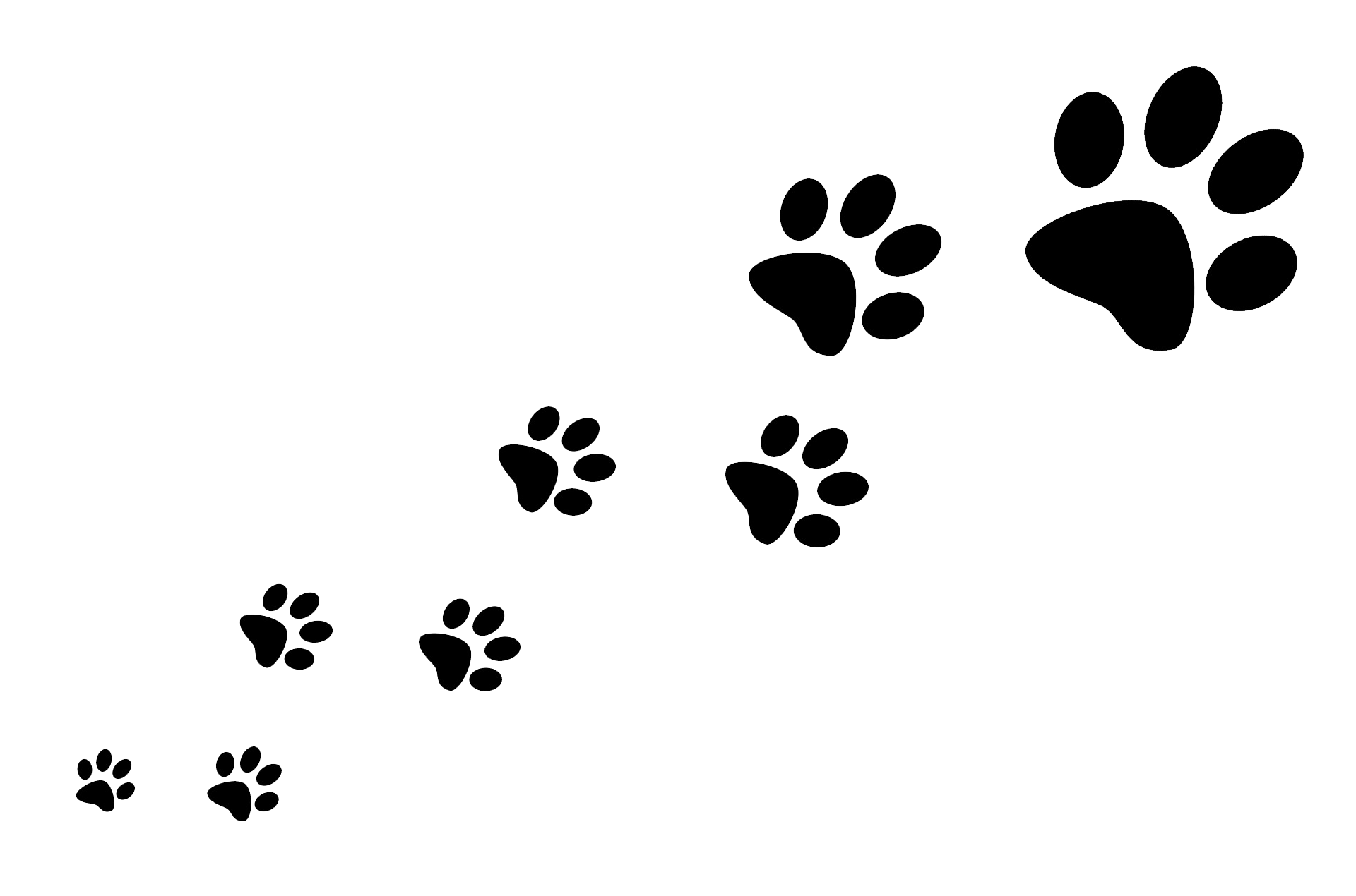 pad